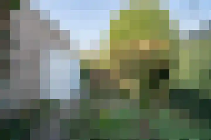 Dieze 24 Deurne thumbnail 21