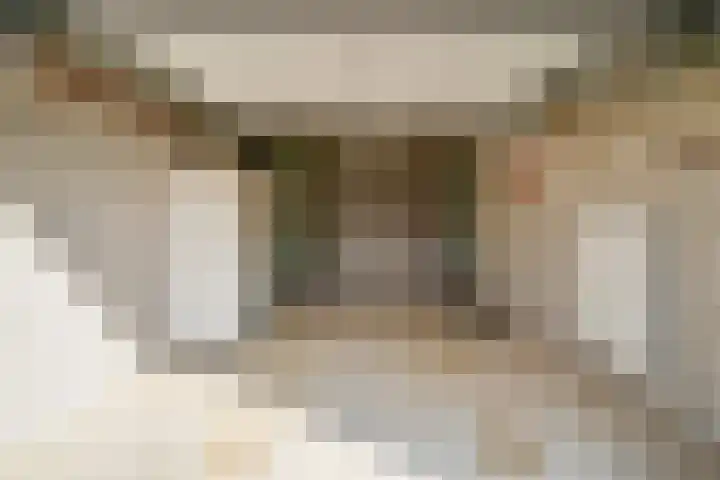 Dieze 24 Deurne thumbnail 28