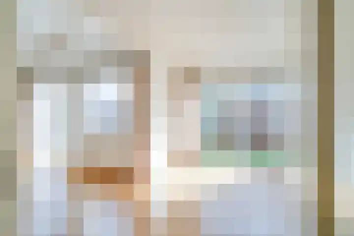 Dieze 24 Deurne thumbnail 4