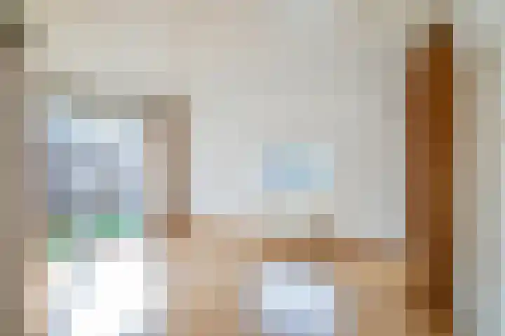 Dieze 24 Deurne thumbnail 7