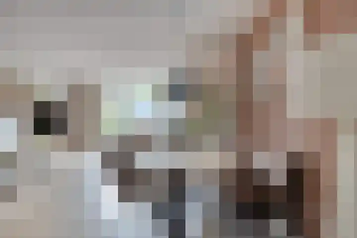 Dieze 32 Veldhoven thumbnail 14