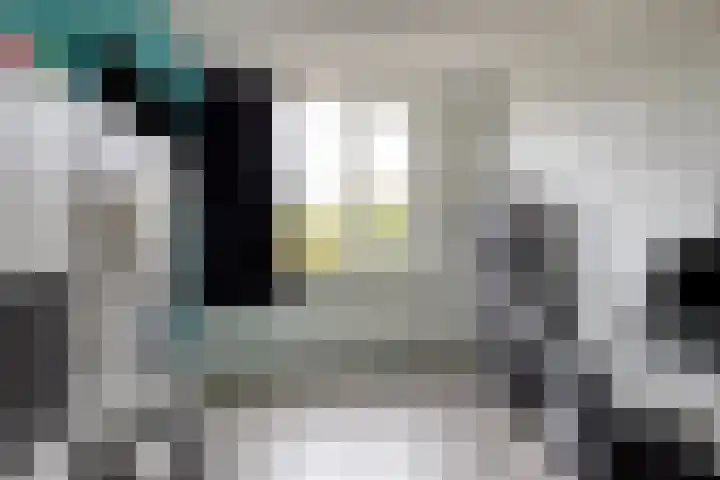 Dieze 32 Veldhoven thumbnail 20