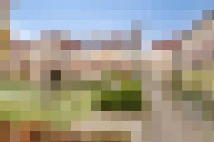 Dieze 32 Veldhoven thumbnail 34