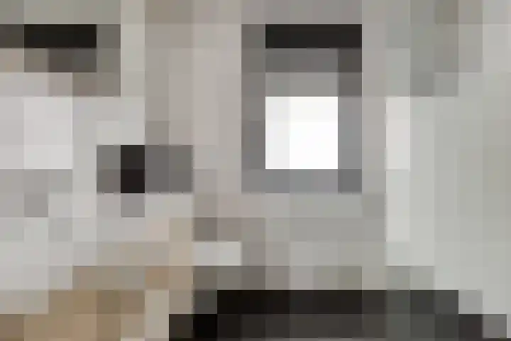 Dieze 32 Veldhoven thumbnail 4