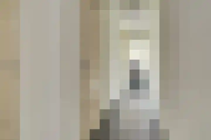 Dieze 34 Oisterwijk thumbnail 18