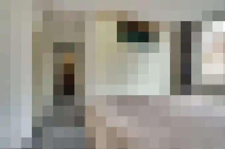 Dieze 34 Oisterwijk thumbnail 19