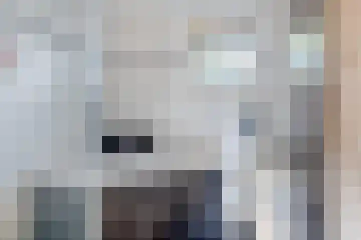 Dieze 9 Veldhoven thumbnail 24
