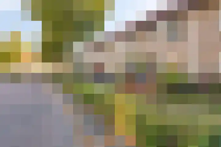 Dieze 9 Veldhoven thumbnail 35