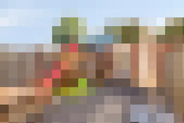Dieze 9 Veldhoven thumbnail 4