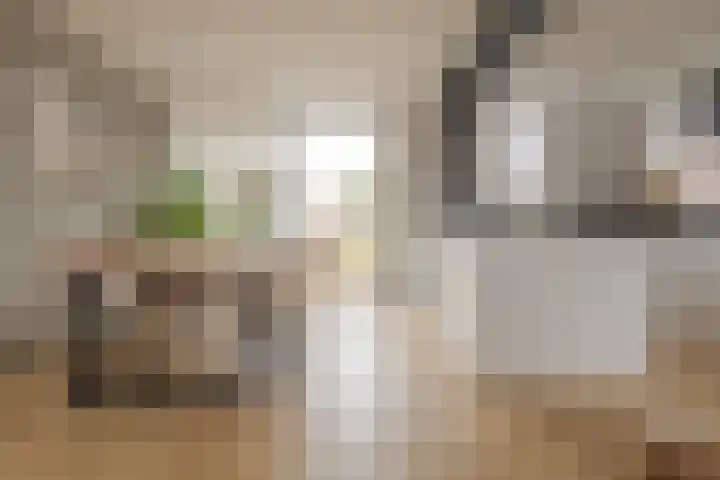 Diezerenk 34 Zwolle thumbnail 11