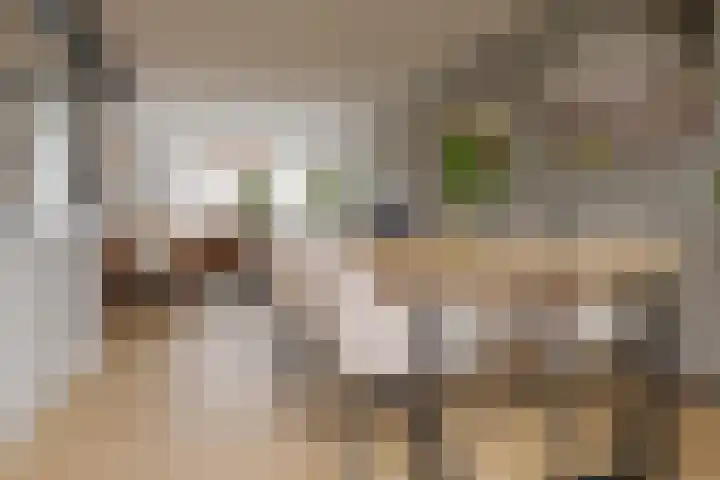 Diezerenk 34 Zwolle thumbnail 12