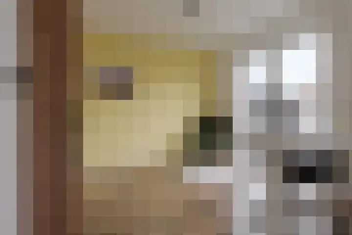 Diezerenk 34 Zwolle thumbnail 22
