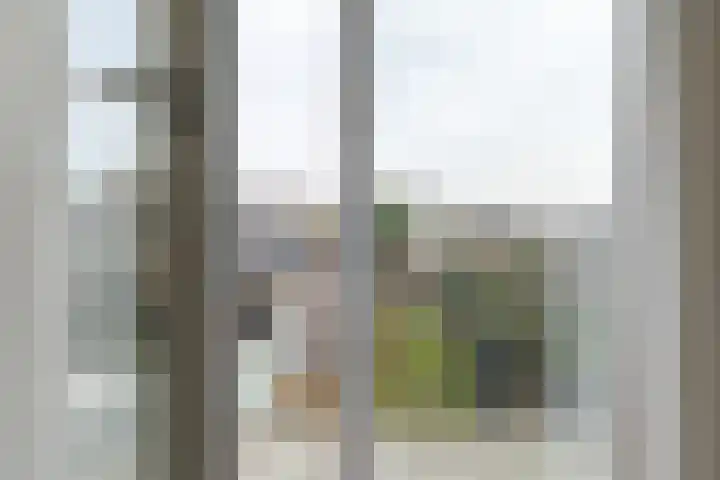 Diezerenk 34 Zwolle thumbnail 24