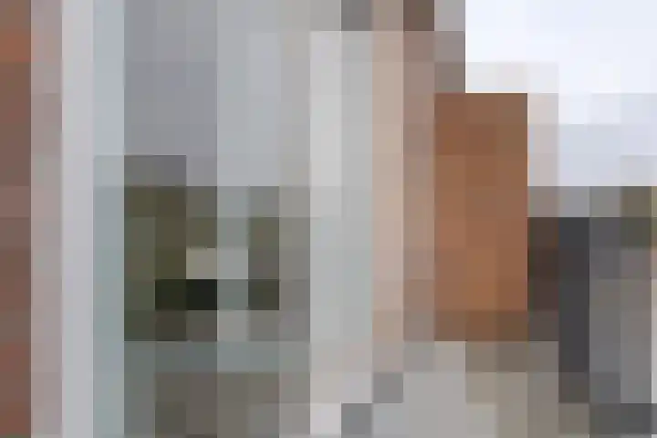Diezerenk 34 Zwolle thumbnail 26