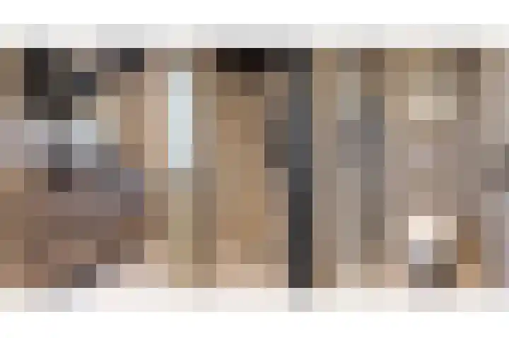 Diezerenk 34 Zwolle thumbnail 32