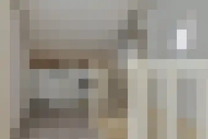 Diezerenk 34 Zwolle thumbnail 34