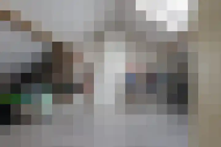 Diezerenk 34 Zwolle thumbnail 36