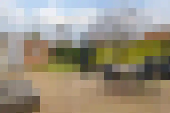 Diezerenk 34 Zwolle thumbnail 40