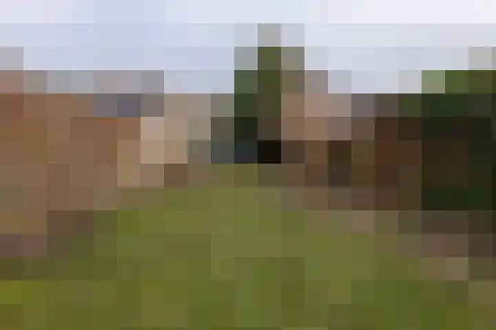 Diezerenk 34 Zwolle thumbnail 42