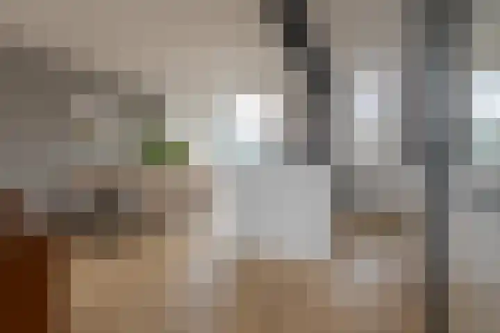 Diezerenk 34 Zwolle thumbnail 7