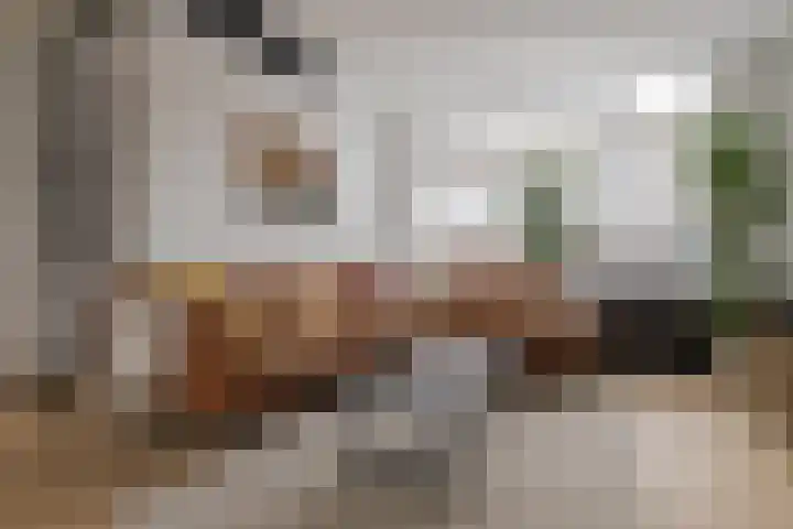 Diezerenk 34 Zwolle thumbnail 9