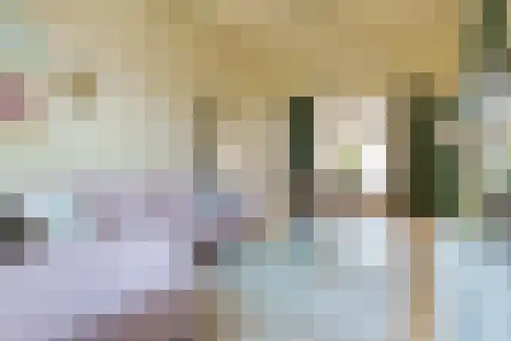 Diezerenk 42 Zwolle thumbnail 11