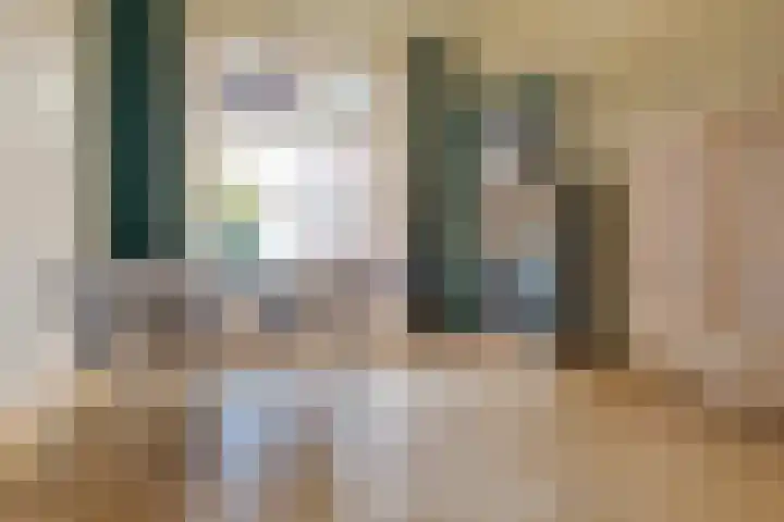 Diezerenk 42 Zwolle thumbnail 12