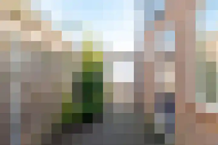 Diezerenk 42 Zwolle thumbnail 18