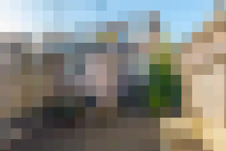 Diezerenk 42 Zwolle thumbnail 23