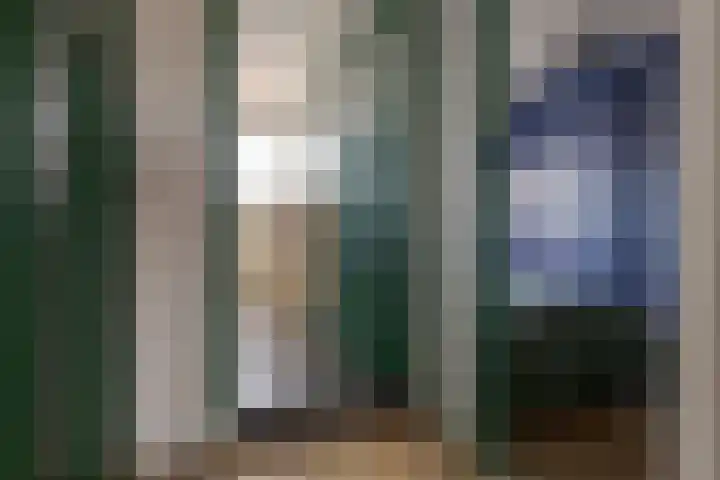 Diezerenk 42 Zwolle thumbnail 32