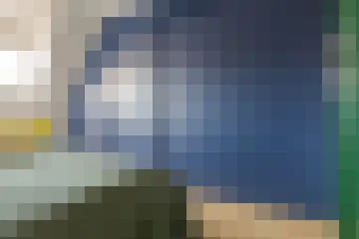 Diezerenk 42 Zwolle thumbnail 33