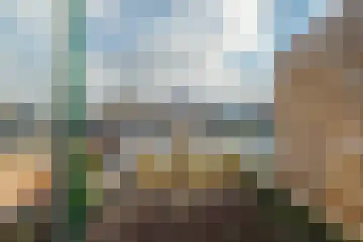 Diezerenk 42 Zwolle thumbnail 38