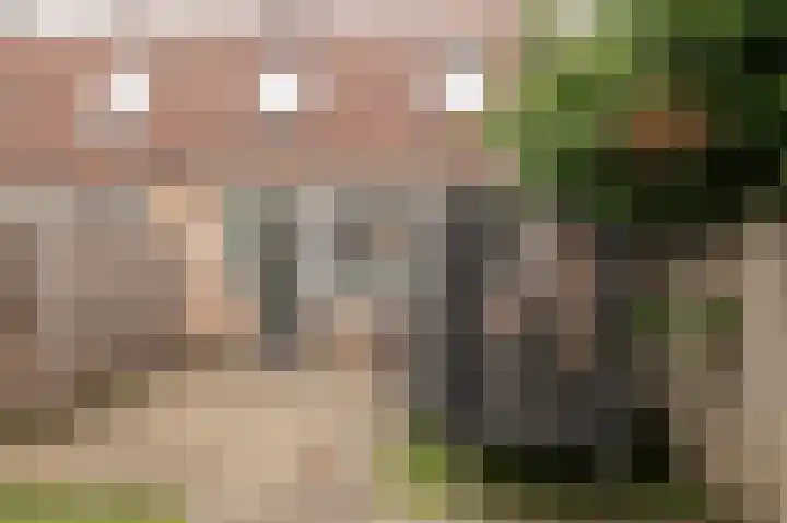 Diezestraat 4 Culemborg thumbnail 32