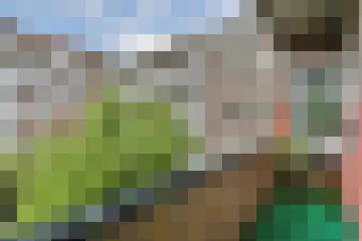 Diezestraat 6 2 Amsterdam thumbnail 34