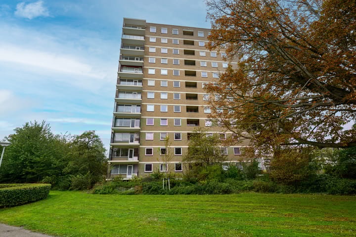 Dignaland 12 in 's-Gravenhage foto