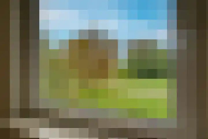 Dignaland 12 Den Haag thumbnail 17