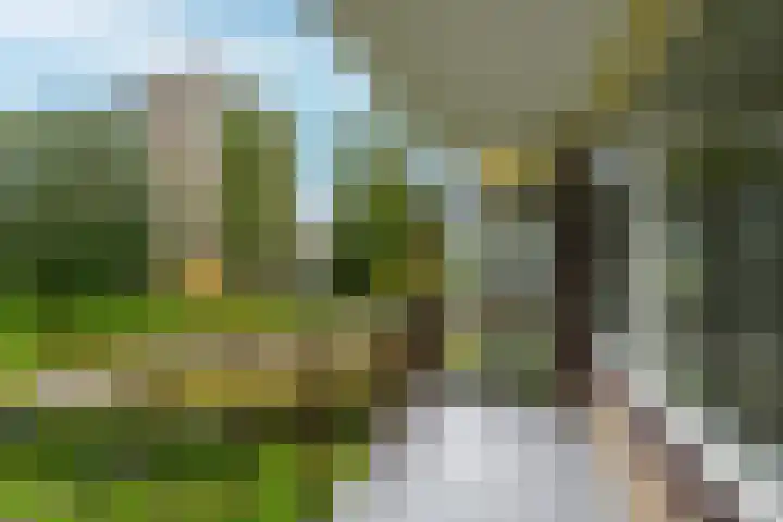 Dignaland 12 Den Haag thumbnail 18