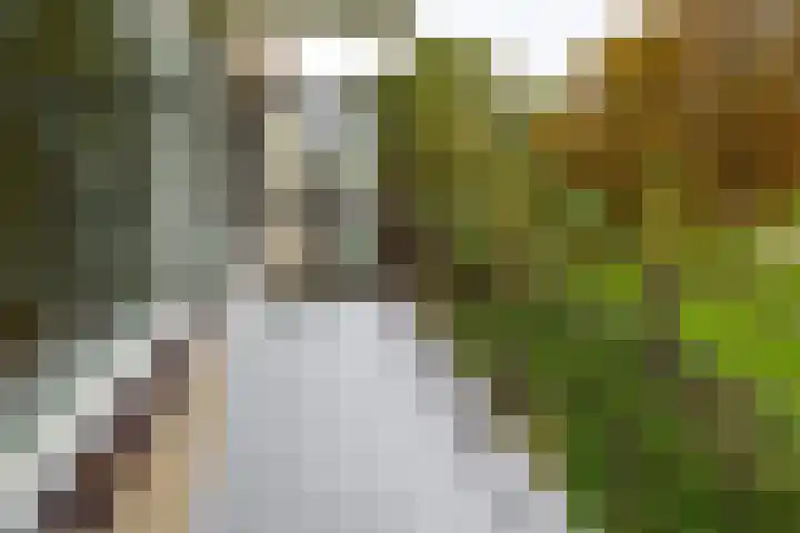 Dignaland 12 Den Haag thumbnail 19
