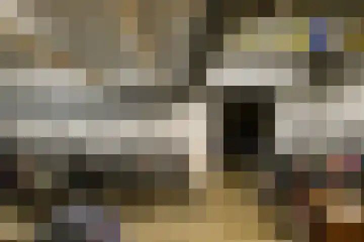 Dignaland 12 Den Haag thumbnail 20