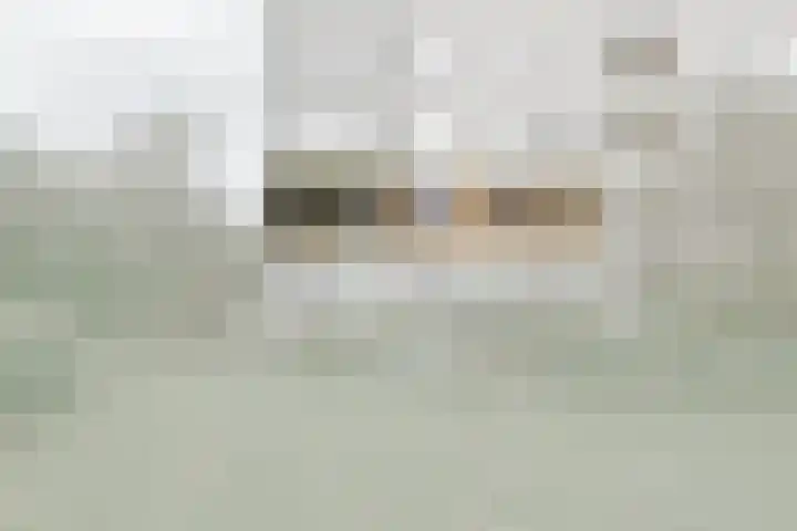 Dignaland 12 Den Haag thumbnail 5