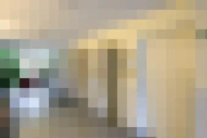 Dignaland 12 Den Haag thumbnail 7