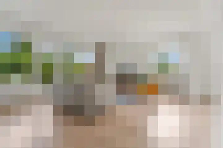 Dignaland 22 Den Haag thumbnail 10