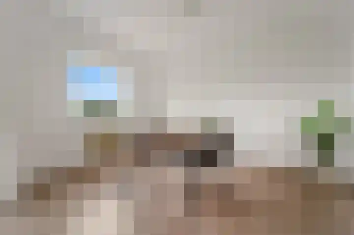 Dignaland 22 Den Haag thumbnail 12
