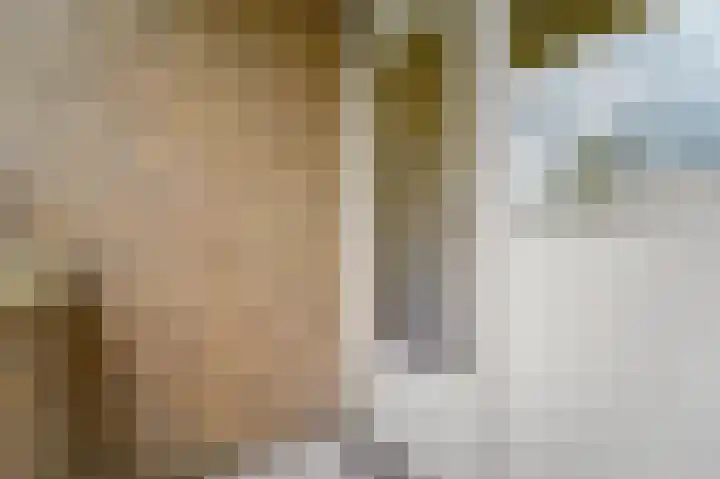 Dignaland 22 Den Haag thumbnail 15