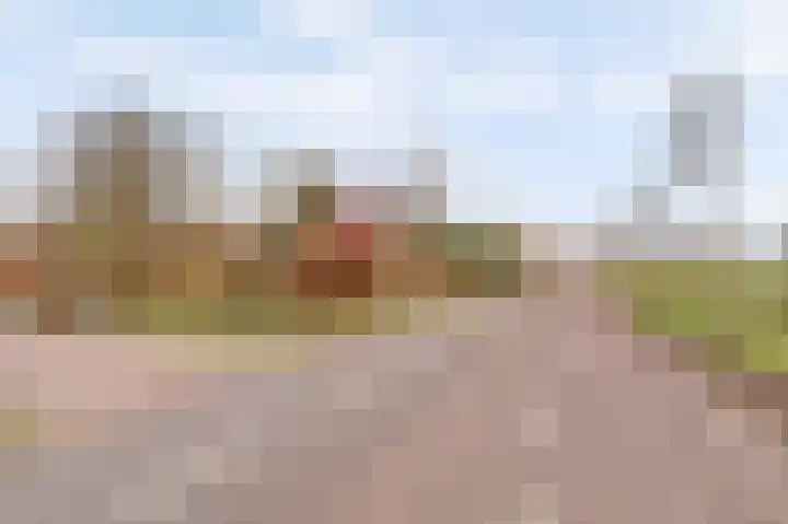 Dignaland 22 Den Haag thumbnail 16