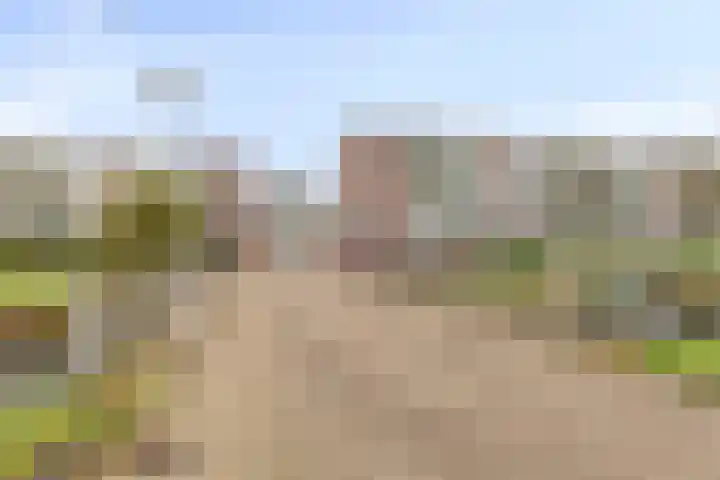 Dignaland 22 Den Haag thumbnail 23