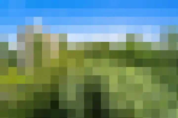 Dignaland 22 Den Haag thumbnail 29
