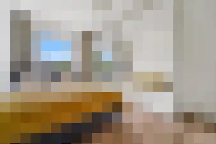 Dignaland 22 Den Haag thumbnail 4
