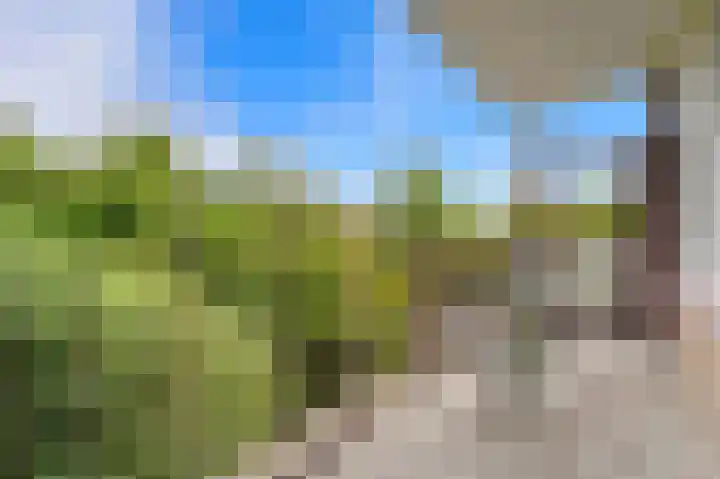 Dignaland 22 Den Haag thumbnail 5