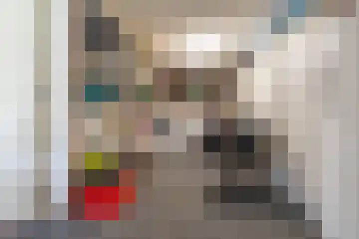 Dignaland 22 Den Haag thumbnail 7